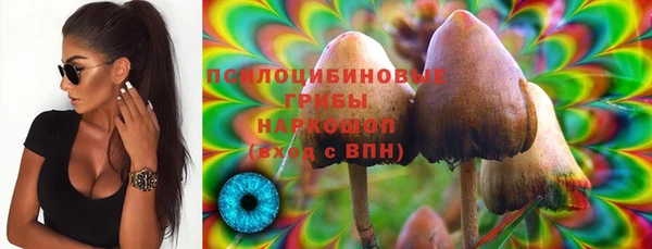 сатива Абаза