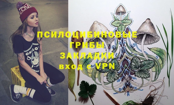 дурь Пересвет