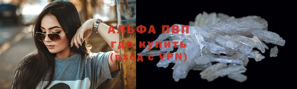 СК Гусев