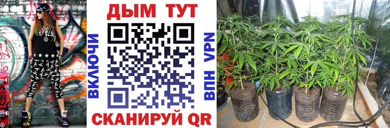 Бошки марихуана Ganja  Разумное 